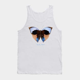 Butterfly - Giant Saturn or Zeuxidia Aurelius Tank Top